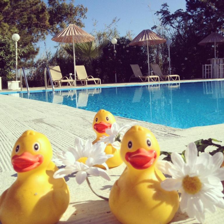 Home Hotel (Adults Only) ヘルソニソス 部屋 写真